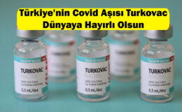 Turkovac aşısı ne zaman vurulacak, başladı mı? Turkovac kim üretiyor nerede üretiliyor?