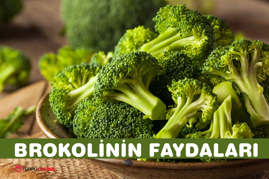 Brokoli Faydaları Nelerdir?